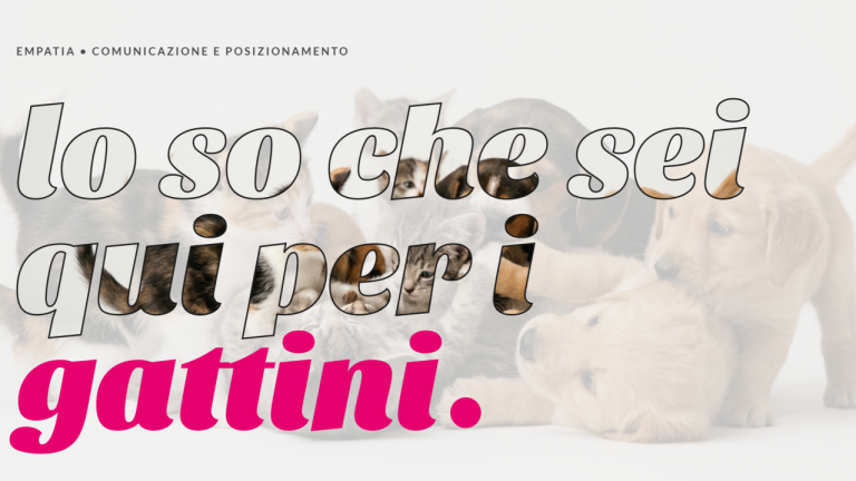 Grafica con scritta "Lo so che sei qui per i gattini" — Empatia, comunicazione e posizionamento | Basta.